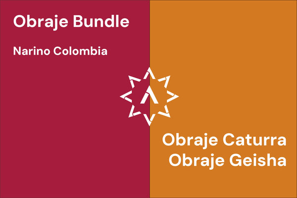 Obraje Bundle