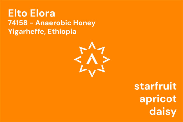 Elto Elora