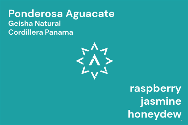Ponderosa Geisha Aguacate