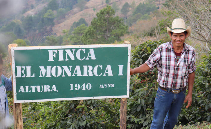 New Coffee Review: El Monarca Honduras