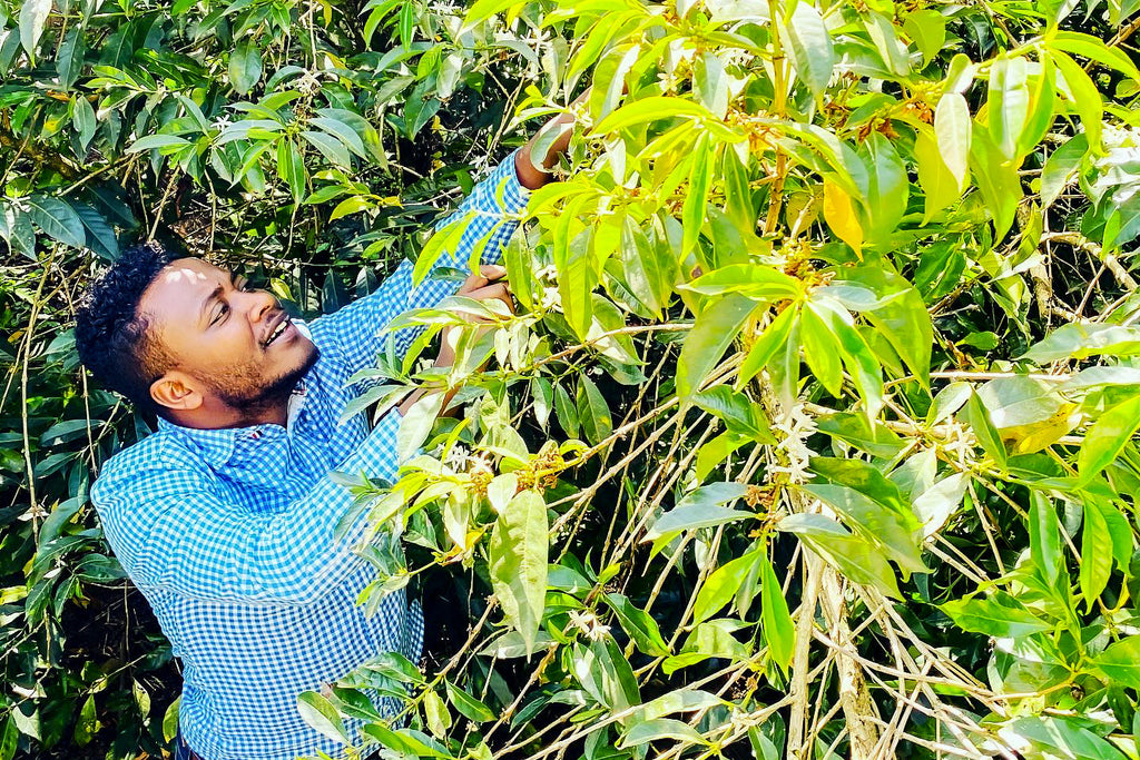 Tamiru Tadesse Tesema 74165 Review and New Profile is coming!