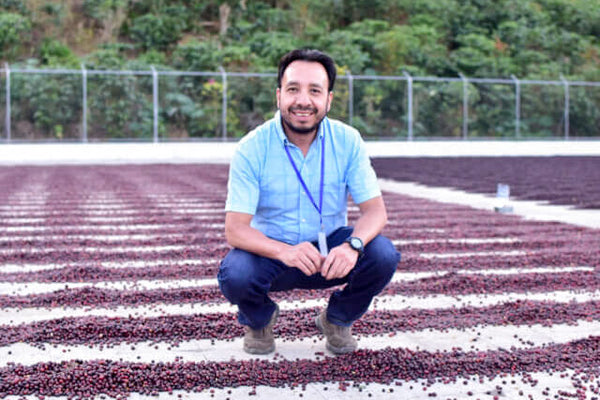 Vista al Bosque: a perfect example of a great washed coffee!