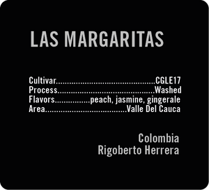Las Margaritas CGLE17