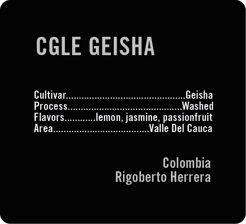 Photo of CGLE Geisha