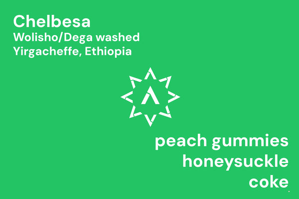 Chelbesa