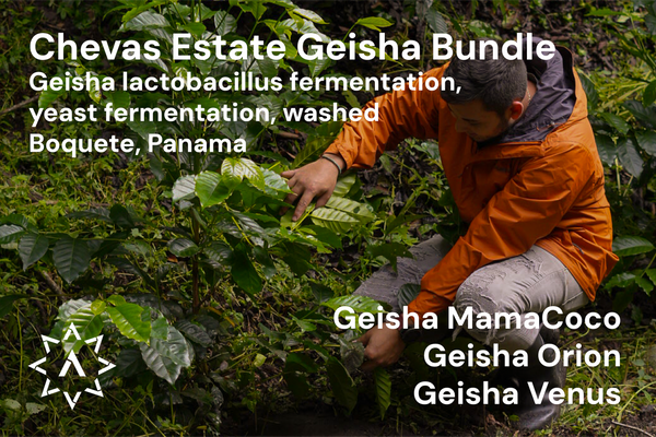 Chevas Estate Geisha Bundle