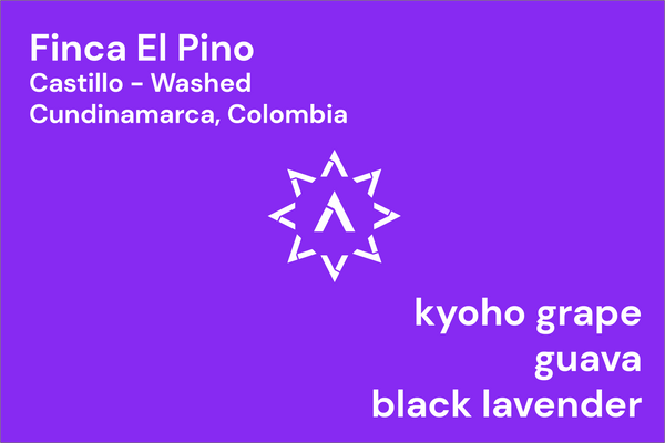 El Pino