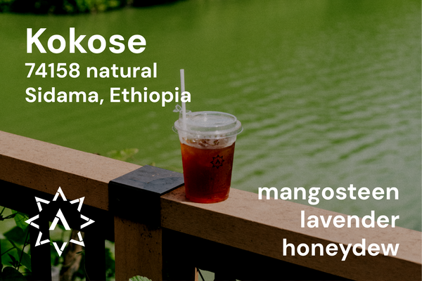 Kokose