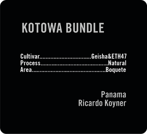 Kotowa Bundle