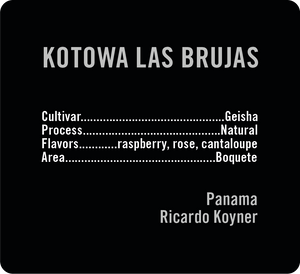 Kotowa Las Brujas Geisha