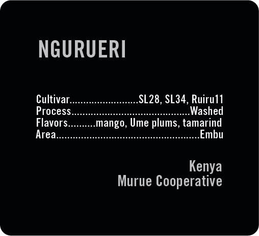 Photo of Ngurueri