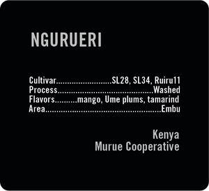 Ngurueri