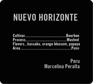 Nuevo Horizonte