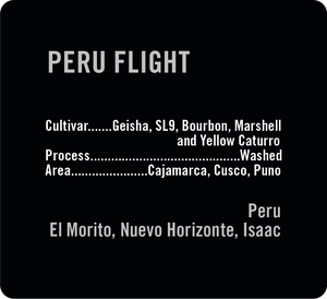 Peru Flight (Available until Sept 7th)