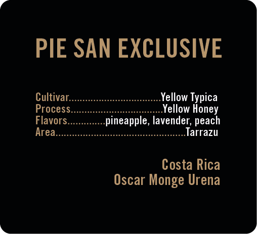 Photo of Pie San Yellow Typica
