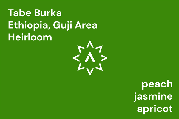 Tabe Burka